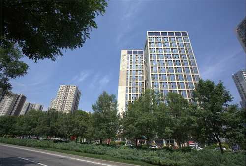 黑龙江柴油机铲车哪家强